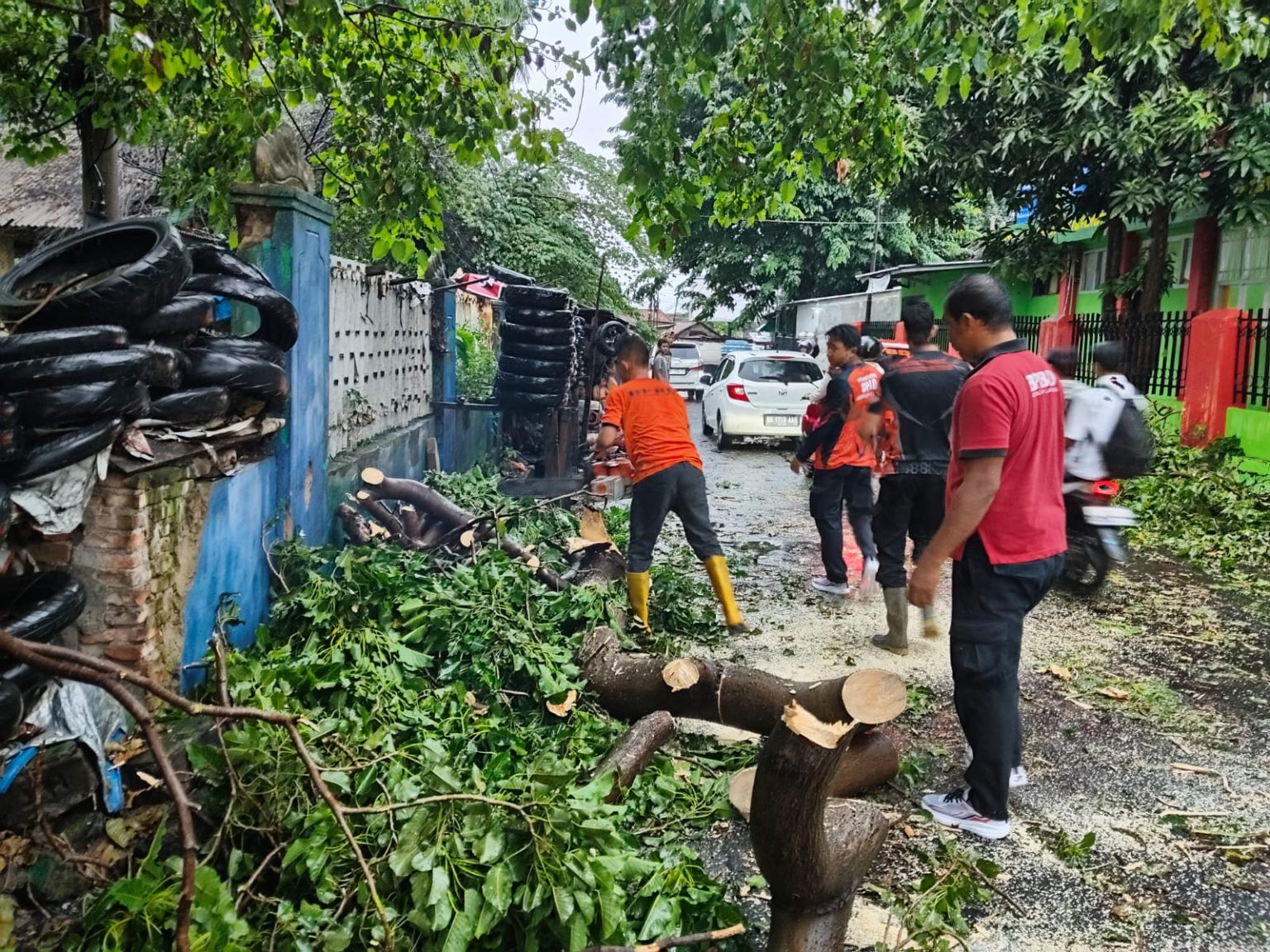 pohon-tumbang-1536x1152